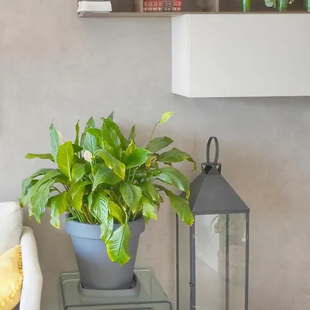 Appartement Frgk 